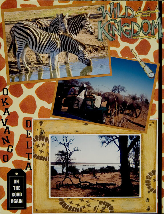 African Safari 2