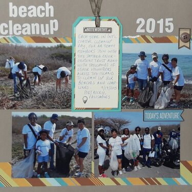 Beach Cleanup 2015