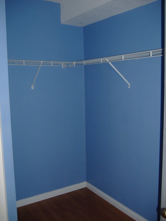 Condo Master closet after move out