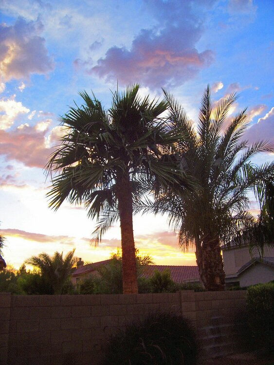 Arizon Sunset