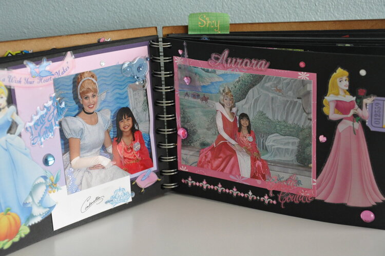 Disney Mini Scrapbook