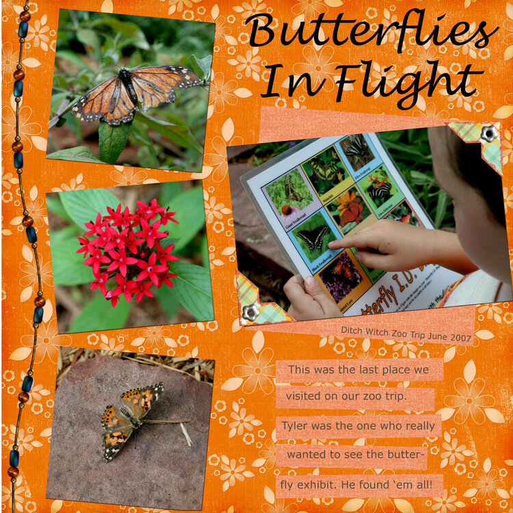 Butterflies In Flight
