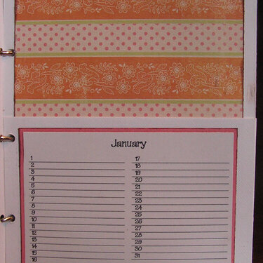 2008 Organizer - January