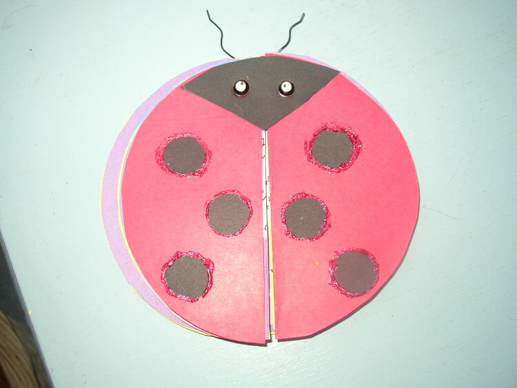 Ladybug book (french project)