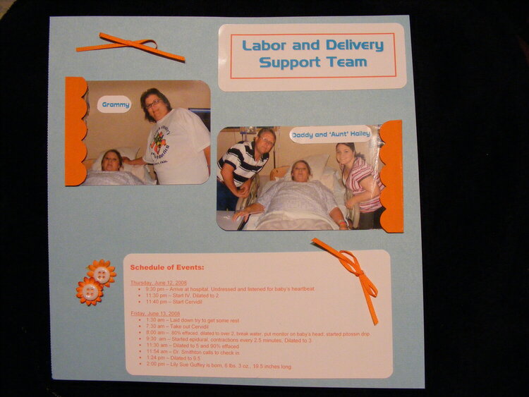 Labor and Deliver Support Team
