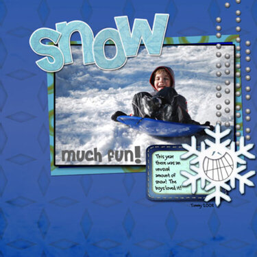 Snow Much Fun