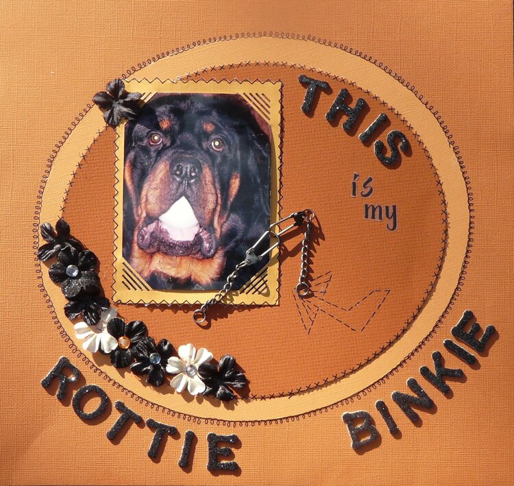 This is my Rottie Binkie