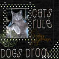 Cat's rule dog's drool