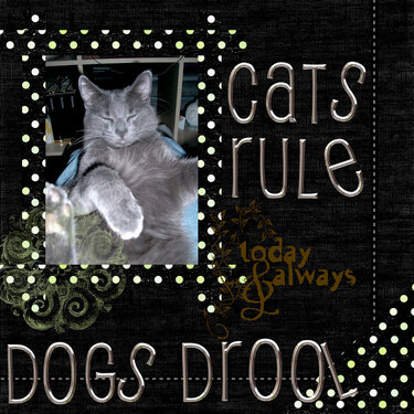 Cat&#039;s rule dog&#039;s drool