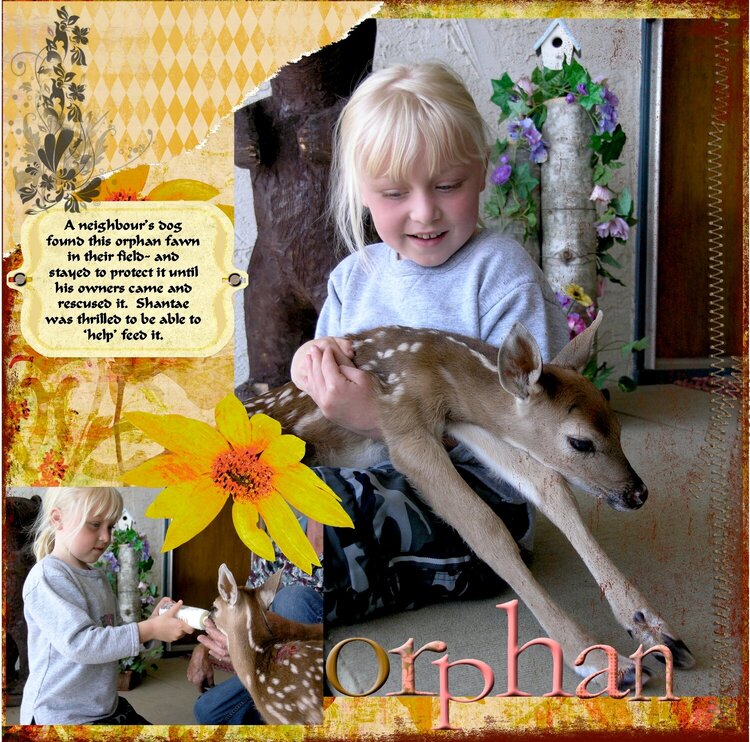 Orphan