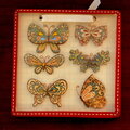 Butterfly Shadow Box 2