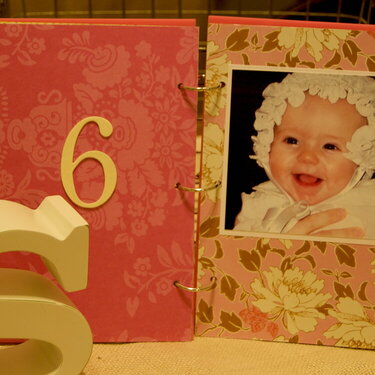 pink acrylic mini style file: first year baby album: inside