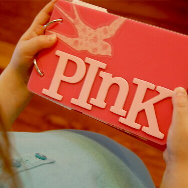 Pink Book