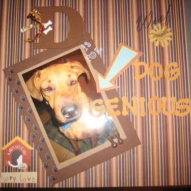 D is for dog genius