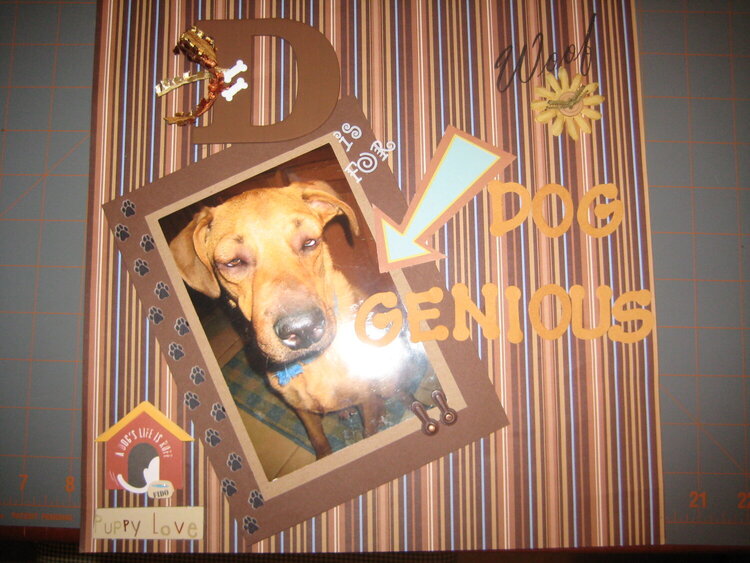 D is for dog genius