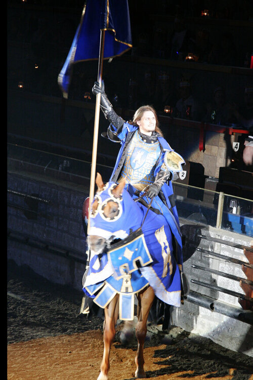 The Blue Knight