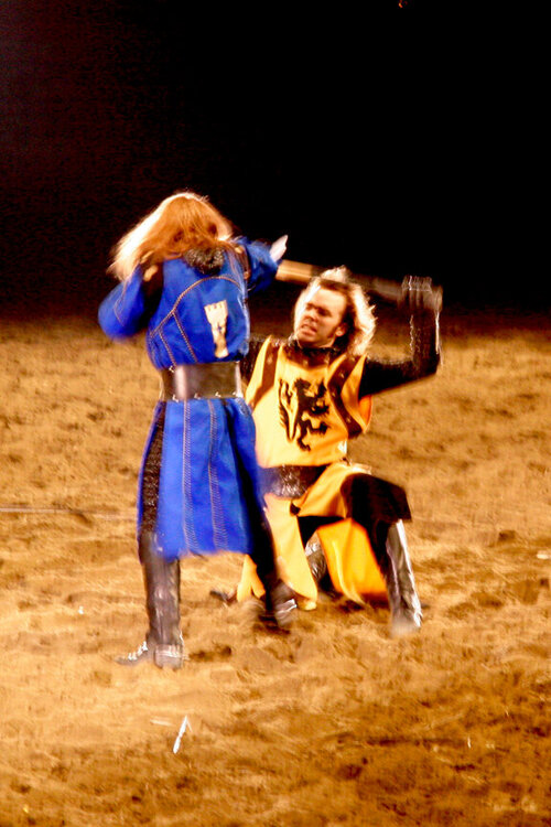 Blue and Yellow Knights Do Battle