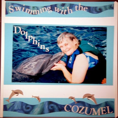 Swimming with the Dolphins in Cozumel