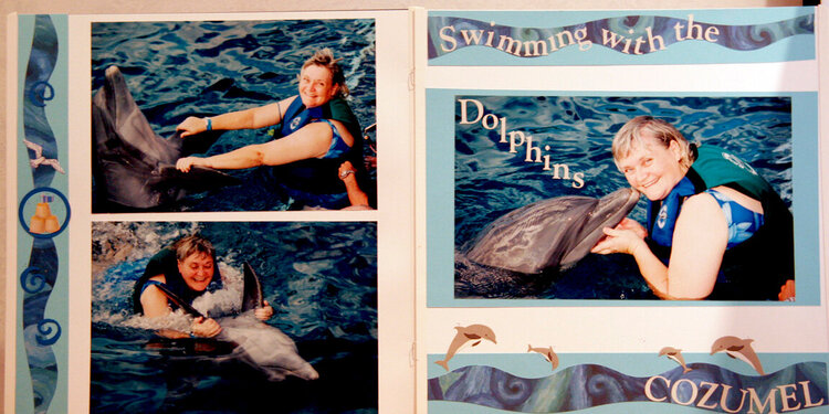 Swimming with the Dolphins in Cozumel