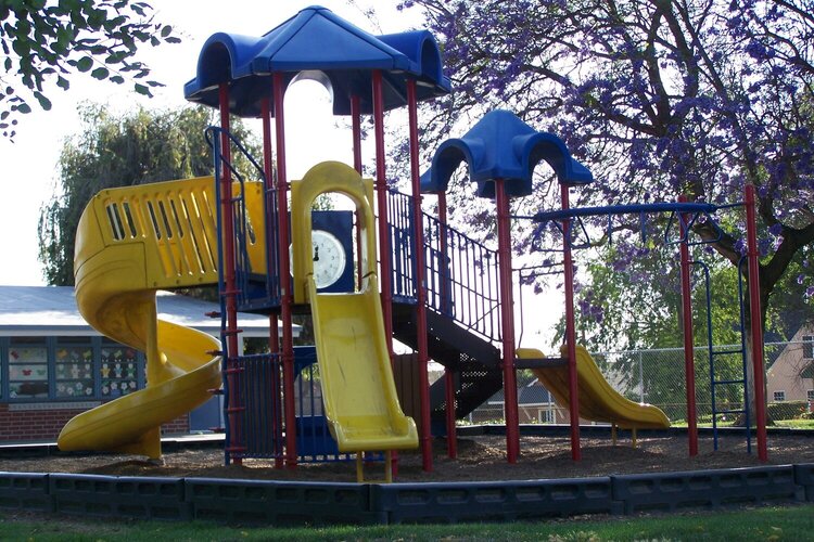 13. Jungle Gym {10 pts}