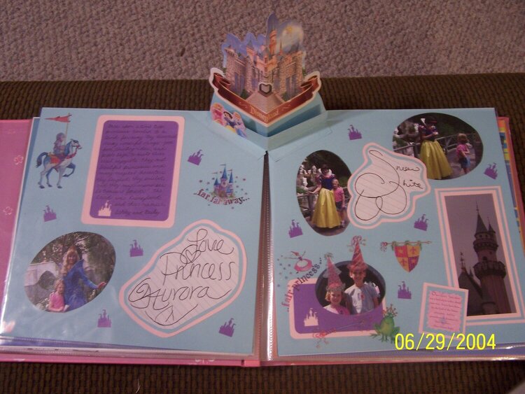 Disney Princess Autographs pop up page