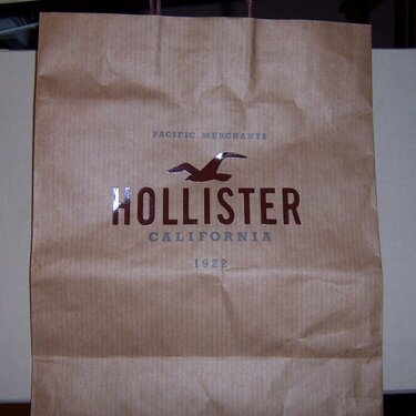 Hollister shopping bag