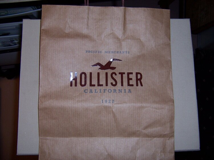 Hollister shopping bag