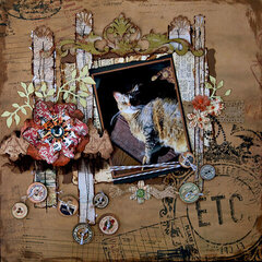 Escape Kitty -Credit Card Statement Came -Scraps Of Darkness