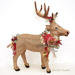 Reindeer - ZVA