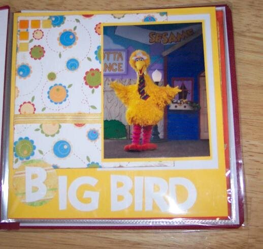 B, Big Bird