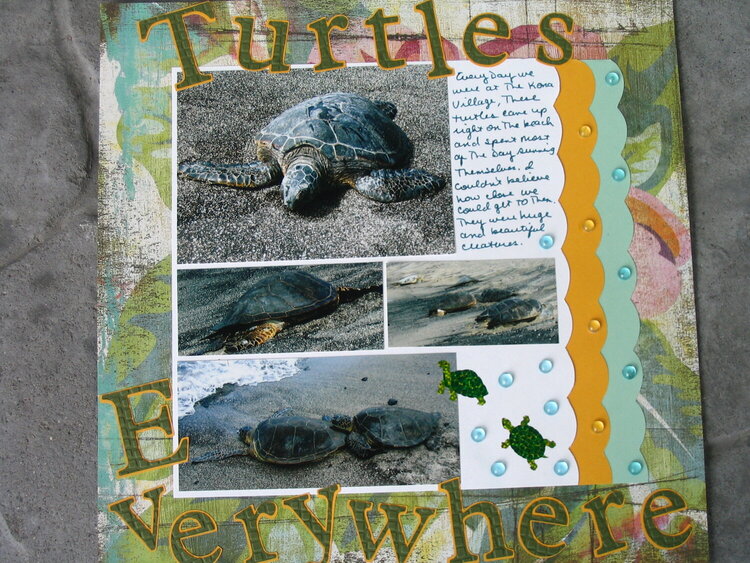 Turtles Everywhere