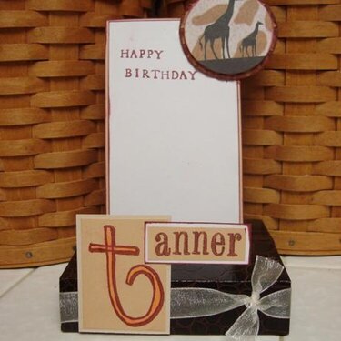 Tanner&#039;s 8th Birthday