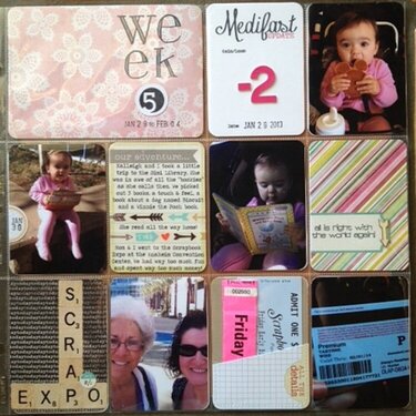 Project Life - Week 5 - Jan. 29 - Feb. 4