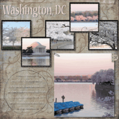 Washington, DC - Cherry Blossoms