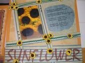 Sunflower Page 2