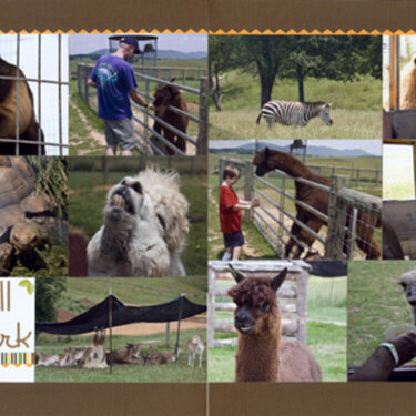 Fort Chiswell Animal Park