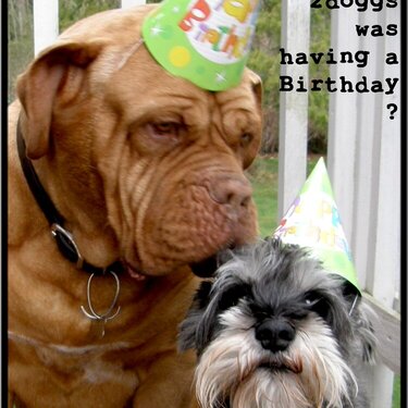 Did someone say 2doggs was having a Birthday?