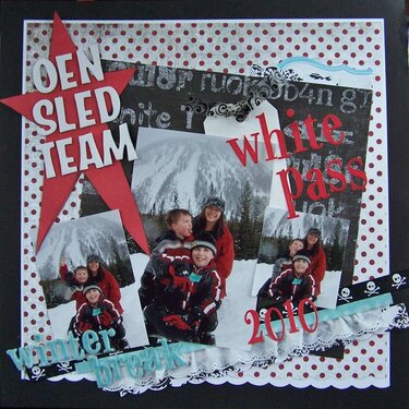 Oen sled team 2010