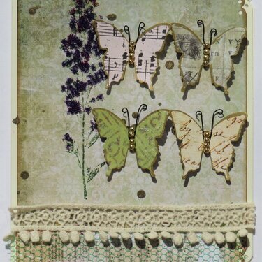 Butterfly card