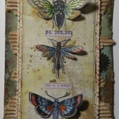 Entomology Tag