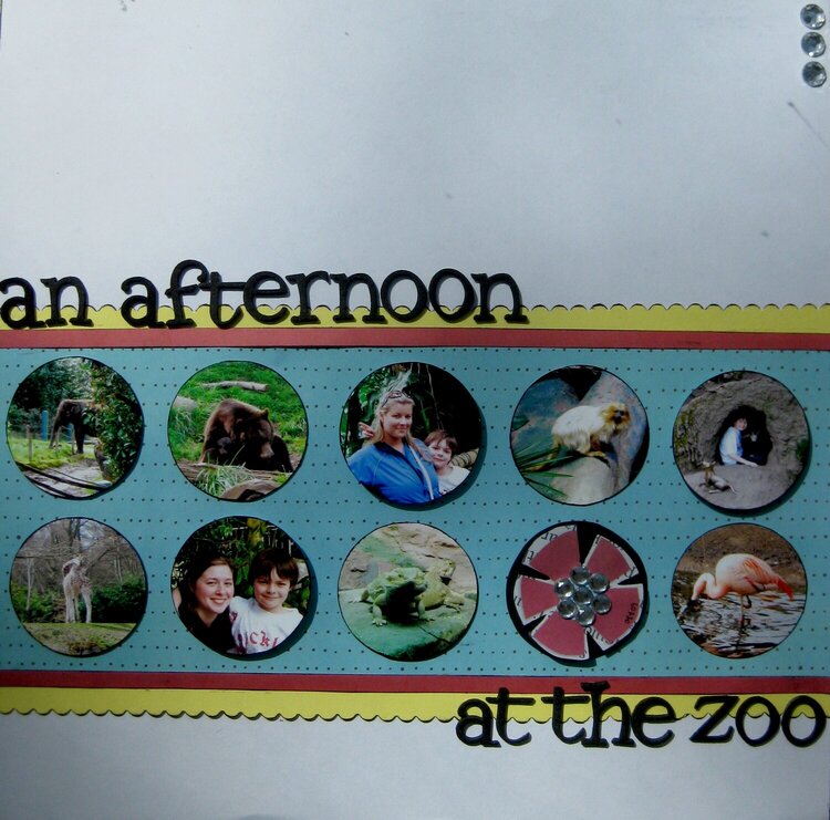 An afternoon at the zoo