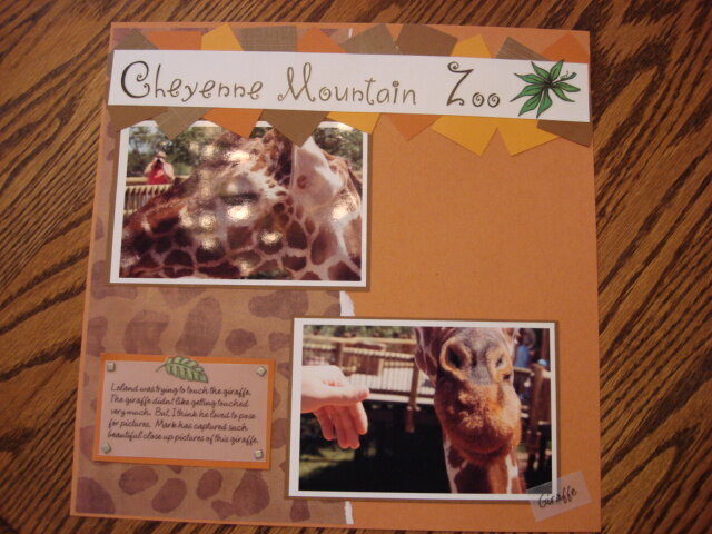 A Day at Cheyenne Mountain Zoo