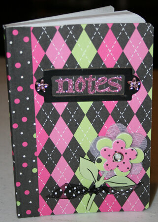 pink mini comp book front