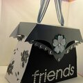 Friends Purse/Gift Bag
