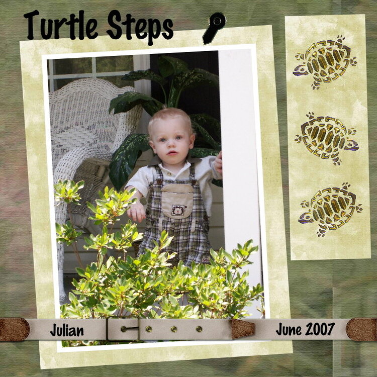 Tiny Turtle Steps