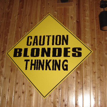 -Caution Blondes Thinking- 8/22/07 (Geo. Shapes, 5 pts)