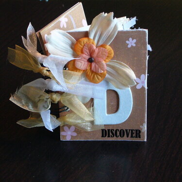 "Discover" Mini Album