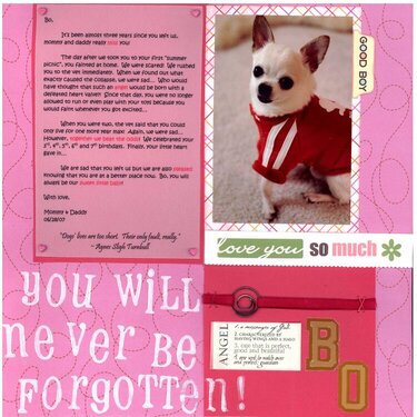 Bo - You Will Never Be Forgotten! (Lucky 7)