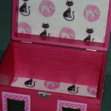 Inside of Cat&#039;s keepsake box