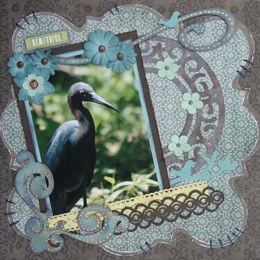 Little Blue Heron